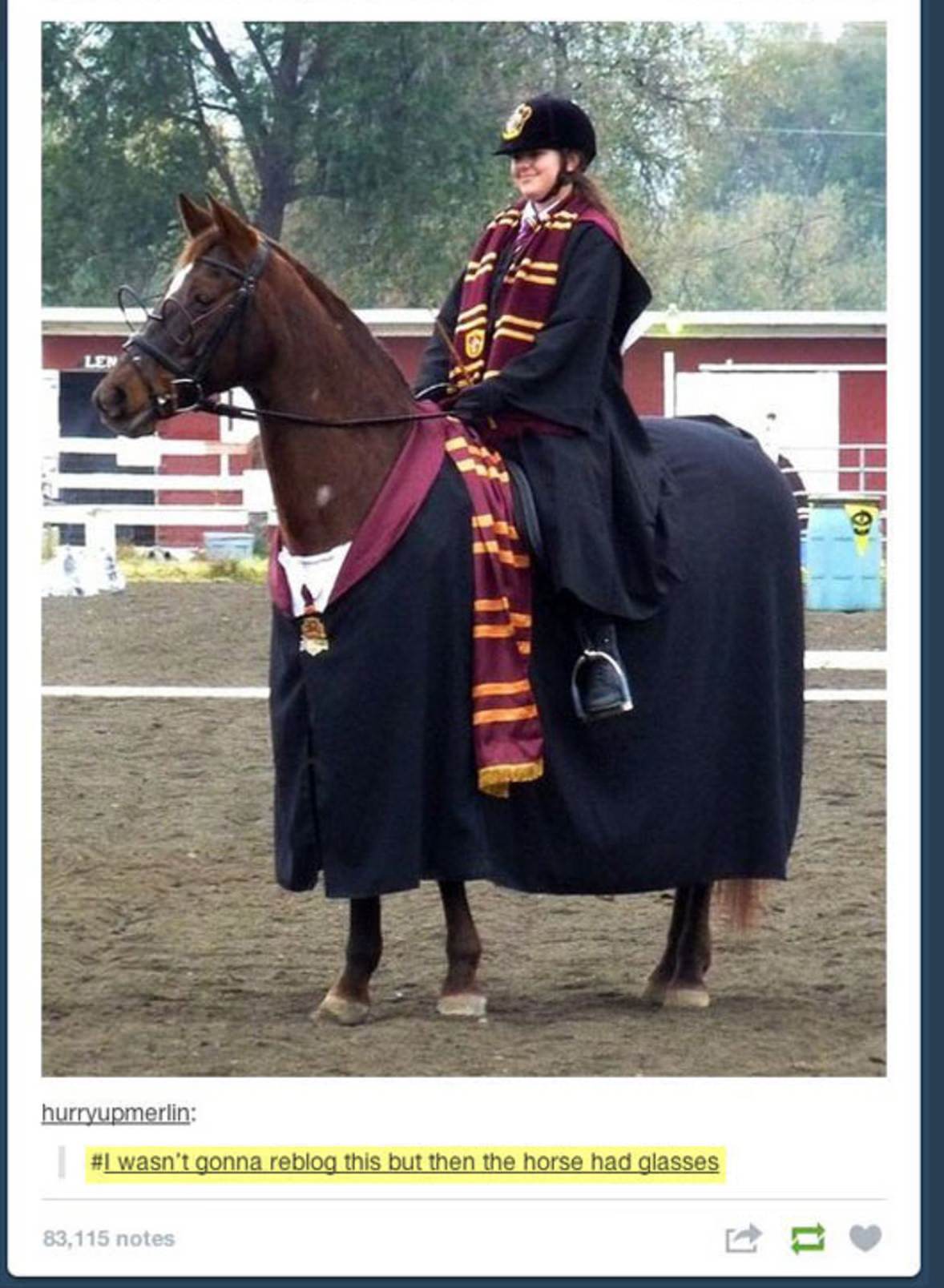 Harry Potter - Horse
